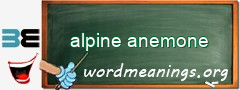 WordMeaning blackboard for alpine anemone